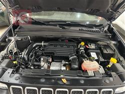 جيب رينيجيد